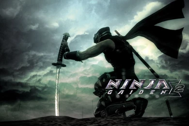 Ninja Gaiden 2 Wallpapers HD
