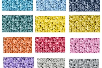 Wall to wall Breasts For Charity