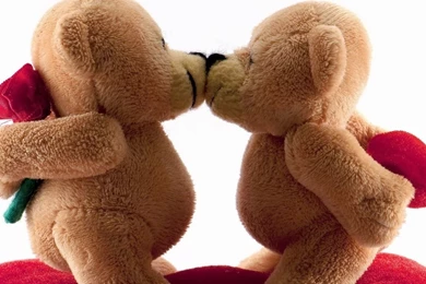 Valentines Day Bears Kiss Romance   Lovers Corner ~ Happy ...
