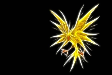 Pokemons4 Zapdos Wallpapers   (