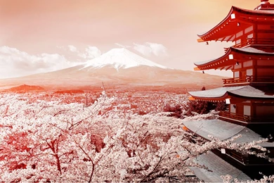 Chureito Pagoda Japanese Architecture Mount Fuji Pagodas Wallpapers ...