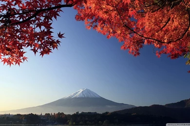 Autumn Fuji Japan Wallpapers Beautiful.jpg