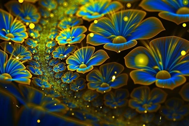 Glowing Flowers Blue & Yellow HD Desktop Wallpaper Backgrounds Download