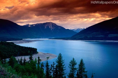 Best Blog Wallpapers: Wallpapers Only