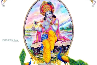 Lord Krishna And Peacock Hd Wallpapers