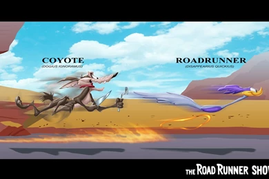 8 Road Runner HD Wallpapers