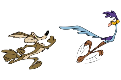 WILE E COYOTE Looney Road Runner Hr Wallpapers