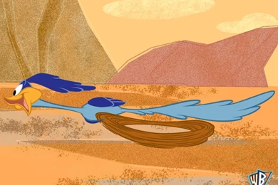 Road Runner 1024 Picture, Road Runner 1024 Wallpapers