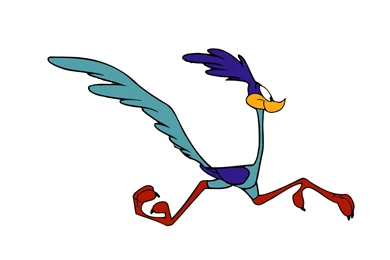Road Runner Funny Picture, Road Runner Funny Wallpapers