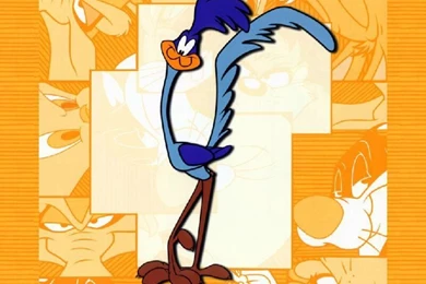 Wilie T Coyote
