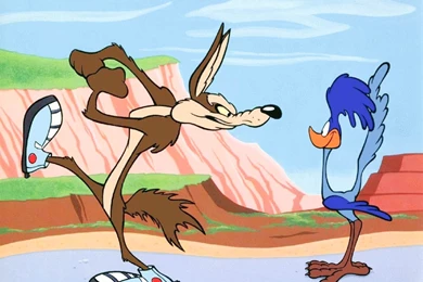 Road Runner High Resolution HD Wallpapers All HD Wallpapers