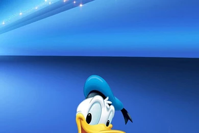 Animated Wallpapers For Android Beautiful Collections ...