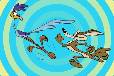 1 Road Runner And Wile E. Coyote HD Wallpapers