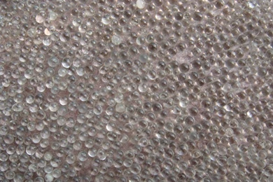 Glass Bead Wallpapers 2015   Grasscloth Wallpapers