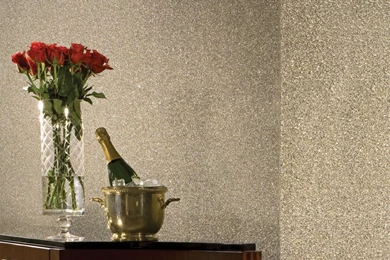 Beadazzled Flexible Glass Bead Wallcovering®