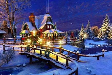 Christmas Tree Images Pictures Photos