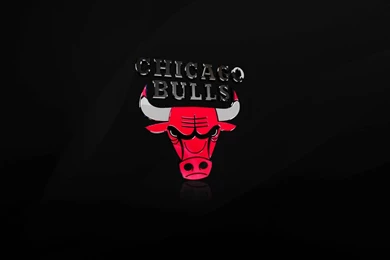 Chicago Bulls 3D Wallpapers   Wallpapers Cave