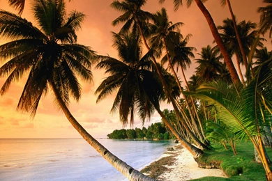 Exotic Sunset 1772x864px