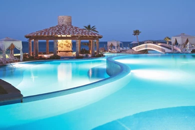 Palm Prints On The Wall Desktop Wallpapers 13531