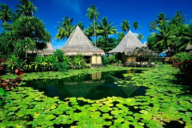 Exotic Resort Wallpapers   Free Wide HD Wallpapers