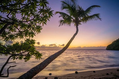 Exotic Beach Wallpapers :: HD Wallpapers