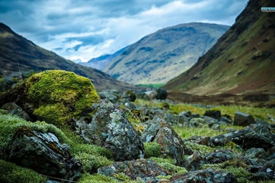 Rocky Mountain Wallpapers   Nature Wallpapers