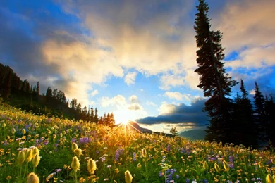 Wallpapers Of Nature, Mac Desktop Images, Free Nature Images ...