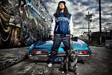 Weird Al Yankovic Computer Wallpapers, Desktop Backgrounds ...