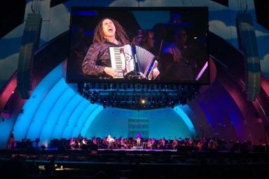 The Simpsons Take The Bowl