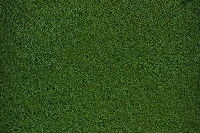 Free HD Wallpapers Downloads For The Iphone 4