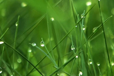 Most Popular Black iPhone 5s Wallpapers