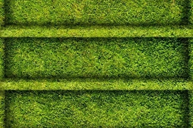 Grass Shelves iPhone HD Wallpaper, iPhone HD Wallpapers Download ...