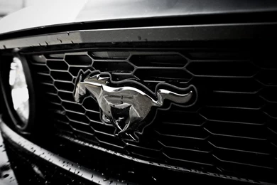 Ford Mustang Logo Wallpapers   Image