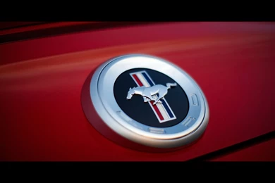 2010 Ford Mustang   Rear Emblem   1600x1200   Wallpapers