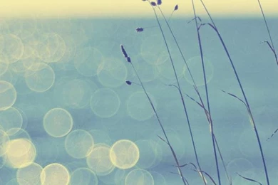 50+ Examples Of iPhone 5 Wallpapers