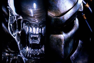 DC Movie Wallpapers » Alien Vs Predator