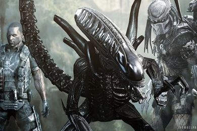 Aliens Vs Predator Game HD Wallpapers   IHD Wallpapers