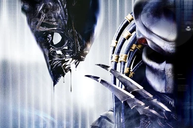 AvP Wallpapers   AvPGalaxy's Gallery
