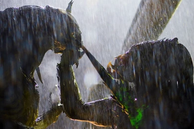 AVP: Alien Vs. Predator Computer Wallpapers, Desktop Backgrounds ...