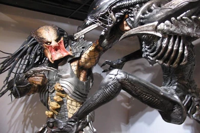 Alien Vs Predator Desktop Wallpapers FREE On Latoro.com