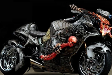 Alien VS Predator, Hayabusa