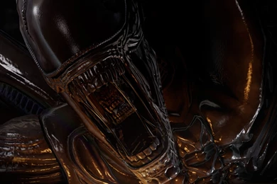 Alien Vs Predator, Queen, 1920x1200 HD Wallpapers And FREE Stock Photo