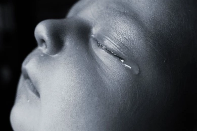 Babies tear drop Photos