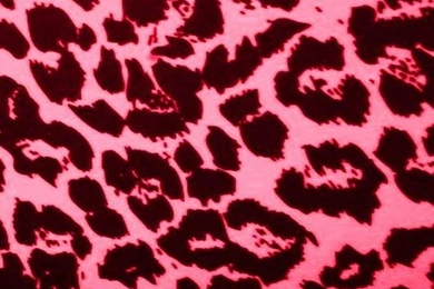 Amazon.com: Hot Pink Leopard Print Live Wallpaper: Appstore For ...