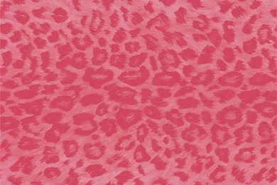 Pink Zebra Zen Wallpapers   Interior Home Decor