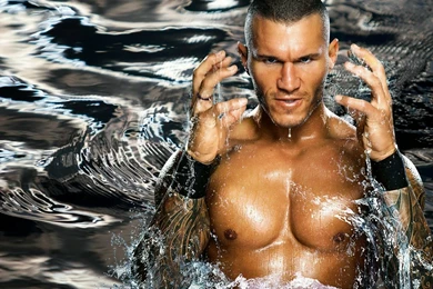 WWE Randy Orton Wallpapers 2015   Wallpapers Cave