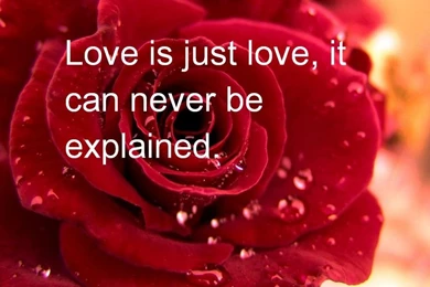 Deep Love Quotes Wallpapers