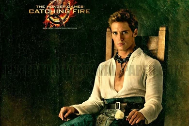 The Hunger Games: Catching Fire Wallpapers