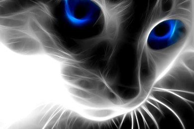 3d Wallpaper,download Free Wallpaper,free Images