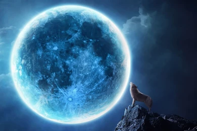 1920x1080 Howling Wolf Full Moon Wallpapers